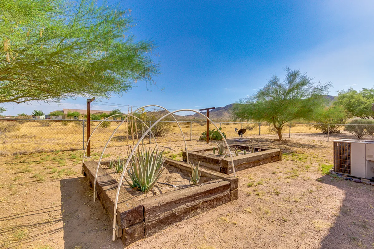 This image captures raised garden beds framed by native desert vegetation, with the Casa Grande mountains visible in the background. The expansive sky and open landscape evoke a sense of adventure, with the rugged terrain hinting at nearby trails for hiking and riding.